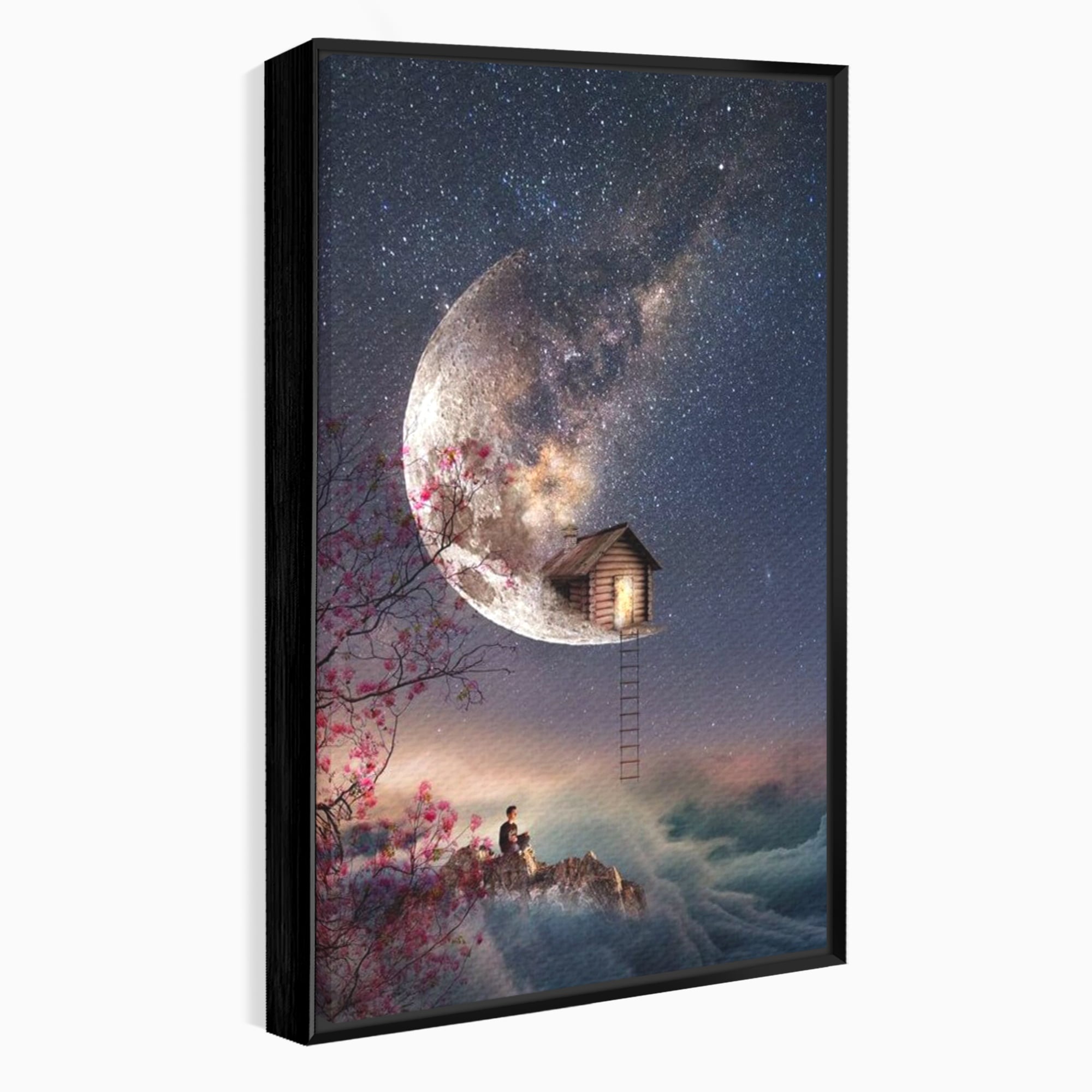 Tablou canvas cu ilustratie digitala cu casa pe luna, in rama de aluminiu negru